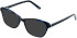 Cameo Isla sunglasses in Dark Blue