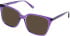 Cameo Luna sunglasses in Crystal Purple Rose
