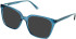 Cameo Luna sunglasses in Crystal Teal