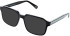 Cameo Max sunglasses in Black