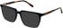 Cameo Miles sunglasses in Black