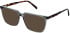 Cameo Miles sunglasses in Grey