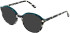 Cameo Neve sunglasses in Green