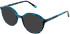 Cameo Neve sunglasses in Teal