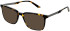 Cameo Noah sunglasses in Tort