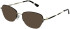 Cameo Saskia sunglasses in Gold/Black