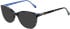 LK Bennett 82 sunglasses in Blue Tort