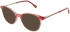 LK Bennett 85 sunglasses in Pink