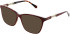 LK Bennett 88 sunglasses in Red