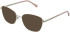 LK Bennett 89 sunglasses in Gold/Cream