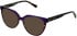 LK Bennett 91 sunglasses in Purple