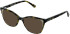 LK Bennett 92 sunglasses in Cream/Tort