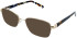 Lazer 4118-49 sunglasses in Gold