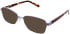 Lazer 4118-49 sunglasses in Lilac