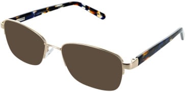 Lazer 4118-51 sunglasses in Gold