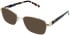 Lazer 4118-51 sunglasses in Gold