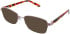 Lazer 4118-51 sunglasses in Rose