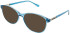 Lazer 4122 sunglasses in Blue