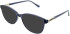 Lazer 4122 sunglasses in Grey
