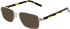 Lazer 4126-52 sunglasses in Gold