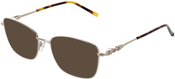 Lazer 4136 sunglasses in Gold