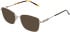 Lazer 4136 sunglasses in Gold