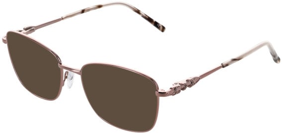 Lazer 4136 sunglasses in Rose Gold