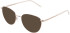Lazer 4138 sunglasses in Gold