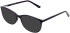 Lazer 4148 sunglasses in Purple