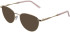 Lazer 4150 sunglasses in Gold