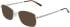 Matrix 227-51 sunglasses in Gold