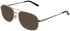 Matrix 231-56 sunglasses in Gold