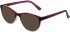 Matrix 851 sunglasses in Burgundy