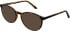 Matrix 852 sunglasses in Tort