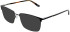 Original Penguin The Raymond sunglasses in Gun/Brown