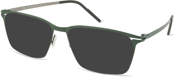 Reykjavik Eyes FINN sunglasses in Green/Gun