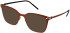 Reykjavik Eyes Larus sunglasses in Bronze/Black