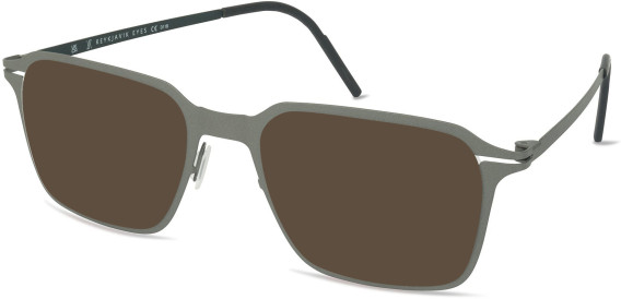 Reykjavik Eyes Ragnar sunglasses in Gun/Green