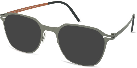 Reykjavik Eyes Svend sunglasses in Gun/Bronze