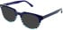 vibe. 05 sunglasses in Blue