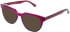 vibe. 05 sunglasses in Purple