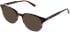 vibe. 08 sunglasses in Tort Multi