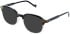 vibe. 17 sunglasses in Black/Crystal