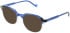 vibe. 17 sunglasses in Blue/Crystal