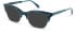 Walter & Herbert Aiken sunglasses in Turquoise