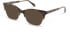 Walter & Herbert Aiken sunglasses in Brown