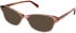 Walter & Herbert Beeton sunglasses in Brown