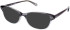 Walter & Herbert Beeton sunglasses in Grey