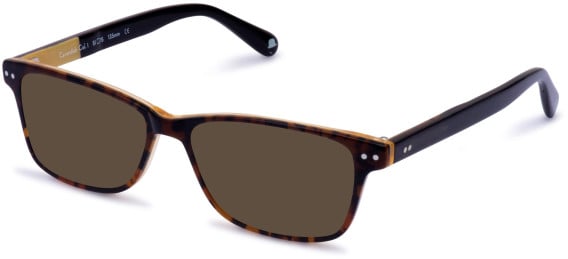 Walter & Herbert Cavendish sunglasses in Brown/Tort
