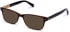 Walter & Herbert Cavendish sunglasses in Brown/Tort